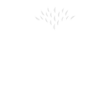 Regreening Africa Home