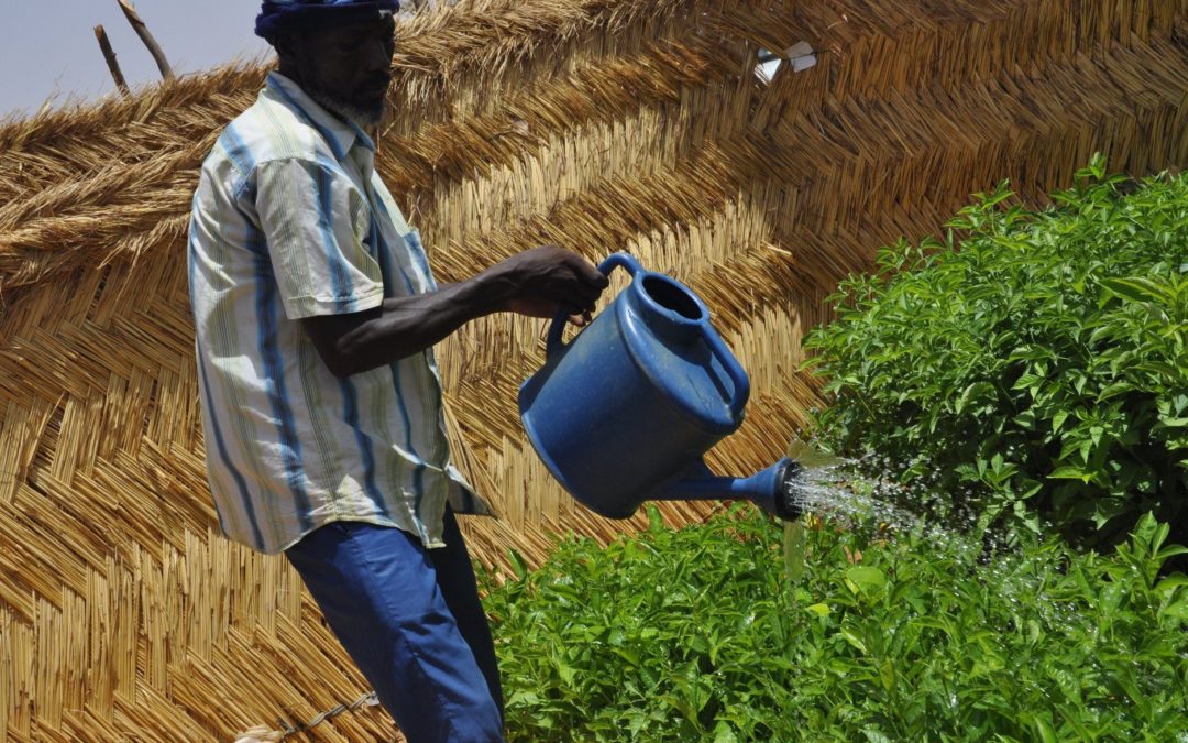 Regreening Africa pitch at the Global Landscapes Forum in New York