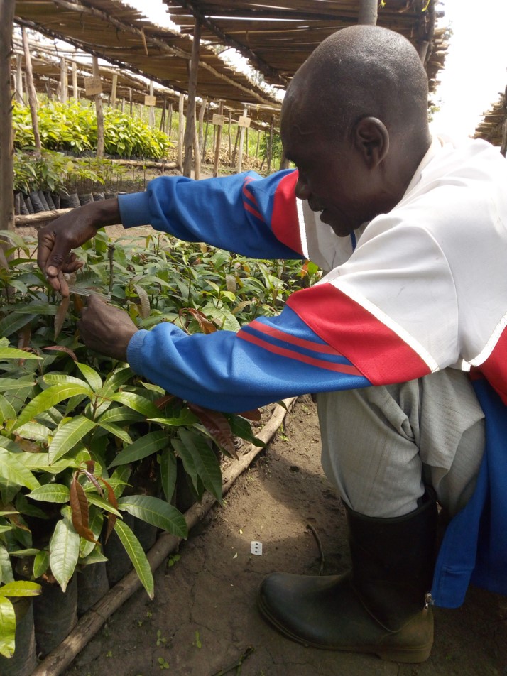 Regreening Africa: an initiative that puts farmers first in Rwanda