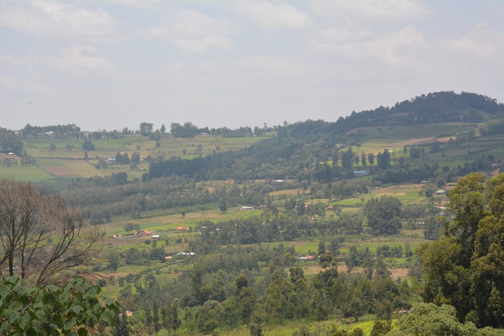 Kenya comes together to restore landscapes