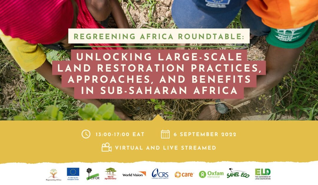 Regreening Africa Roundtable: Unlocking large-scale land restoration practices, approaches, and benefits in Sub-Saharan Africa