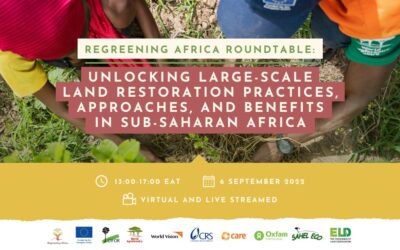 Regreening Africa Roundtable: Unlocking large-scale land restoration practices, approaches, and benefits in Sub-Saharan Africa