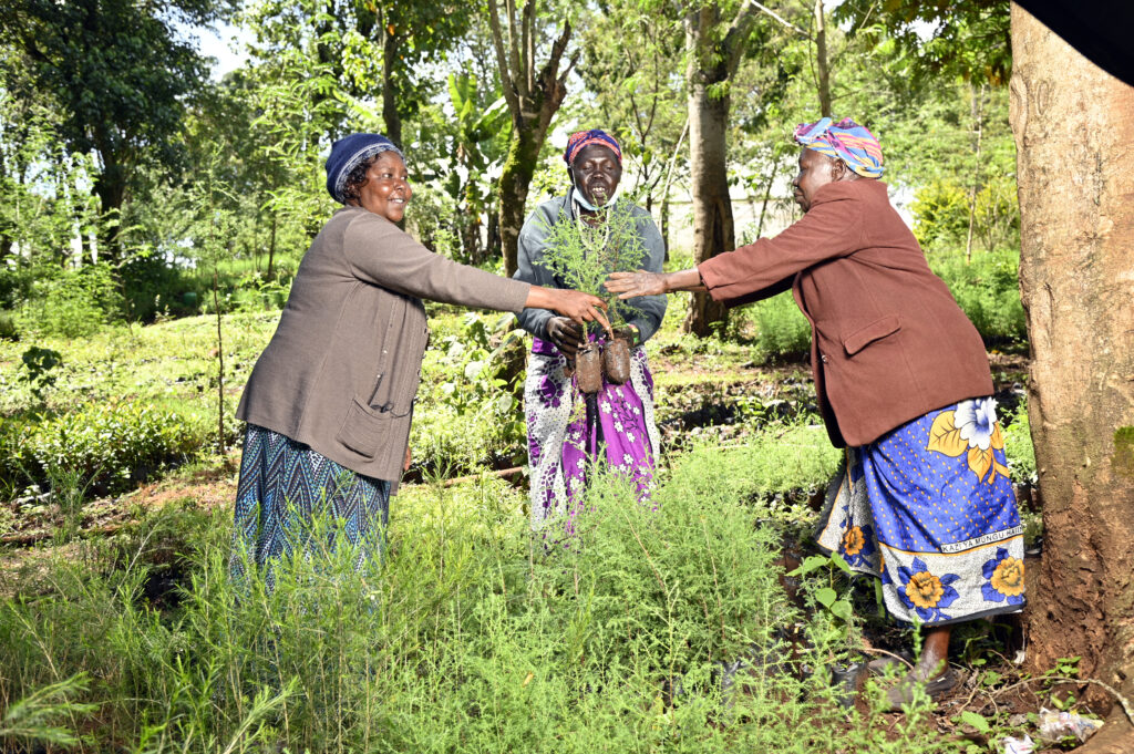 Stakeholders Consolidate the Restoration Movement to Expand Landscape Restoration in Kenya