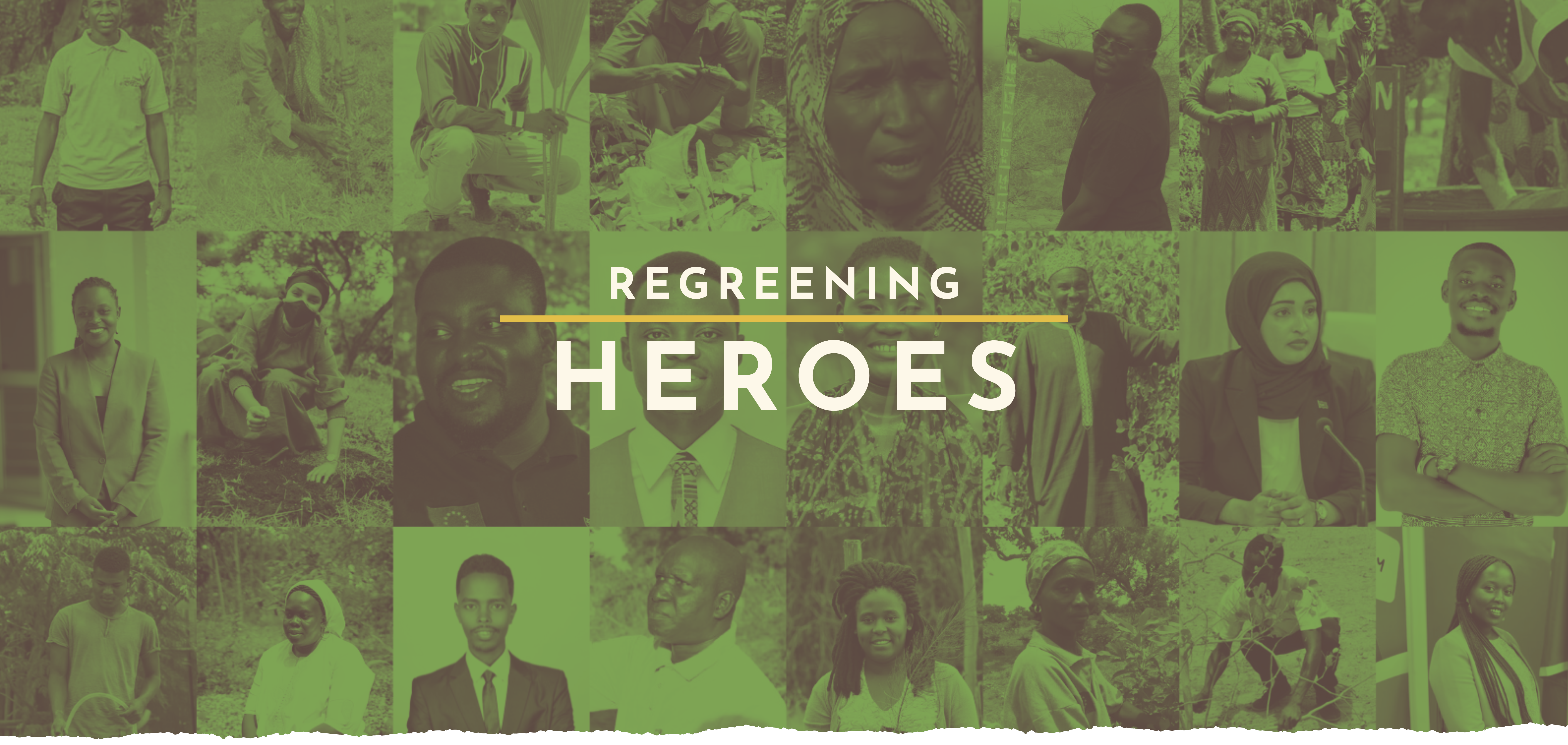 Honouring those who use their knowledge, resources, and passion to restore our landscapes and improve lives in communities across Sub-Saharan Africa.