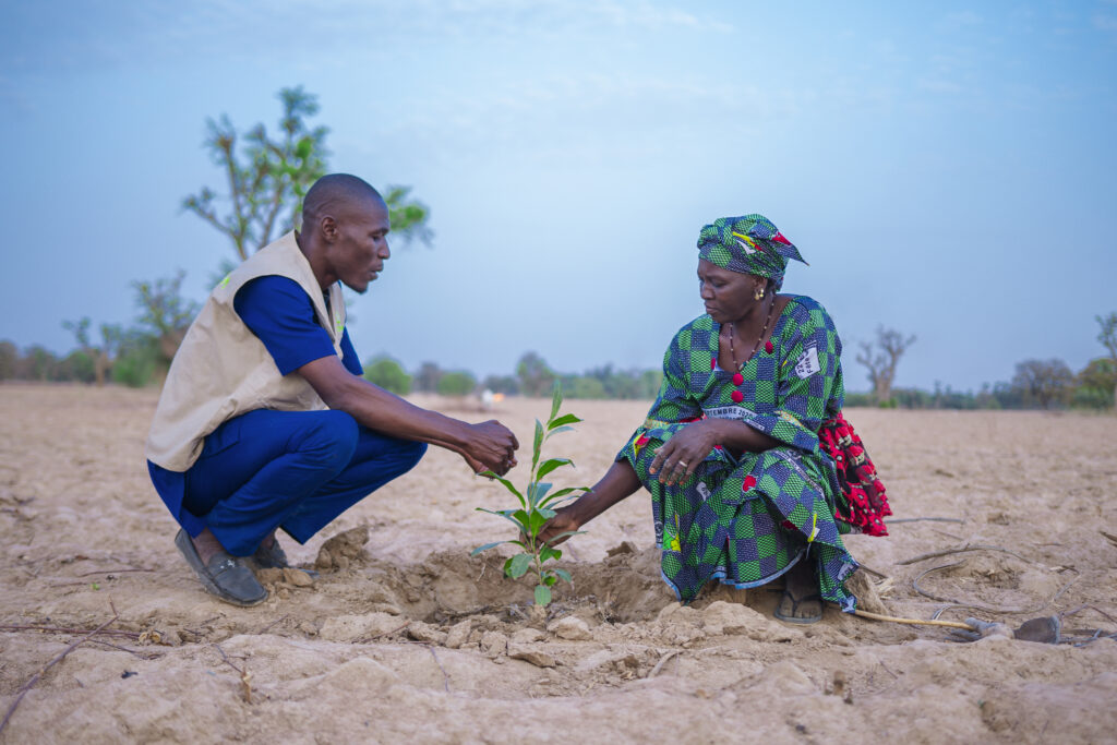 How Women Are Tapping into Sustainable Land Management for Livelihoods and Landscape Restoration in Mali