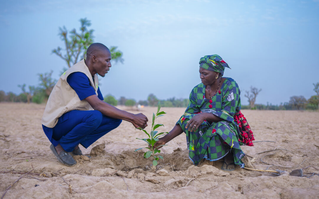 How Women Are Tapping into Sustainable Land Management for Livelihoods and Landscape Restoration in Mali